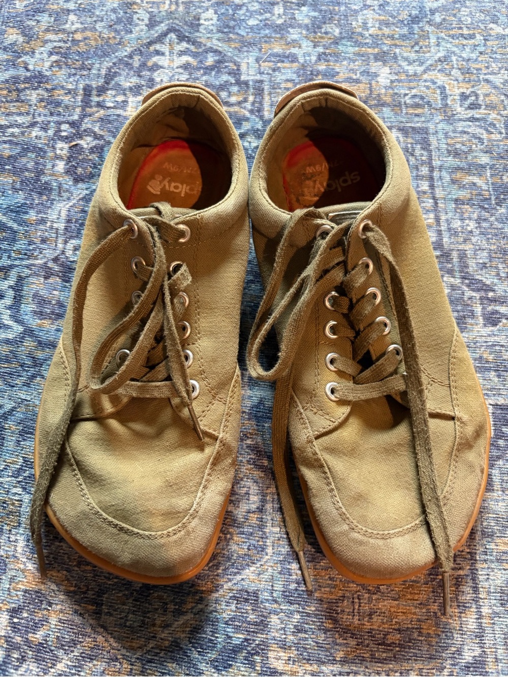 Splay Women's Canvas Lace-Up Sneakers in Olive